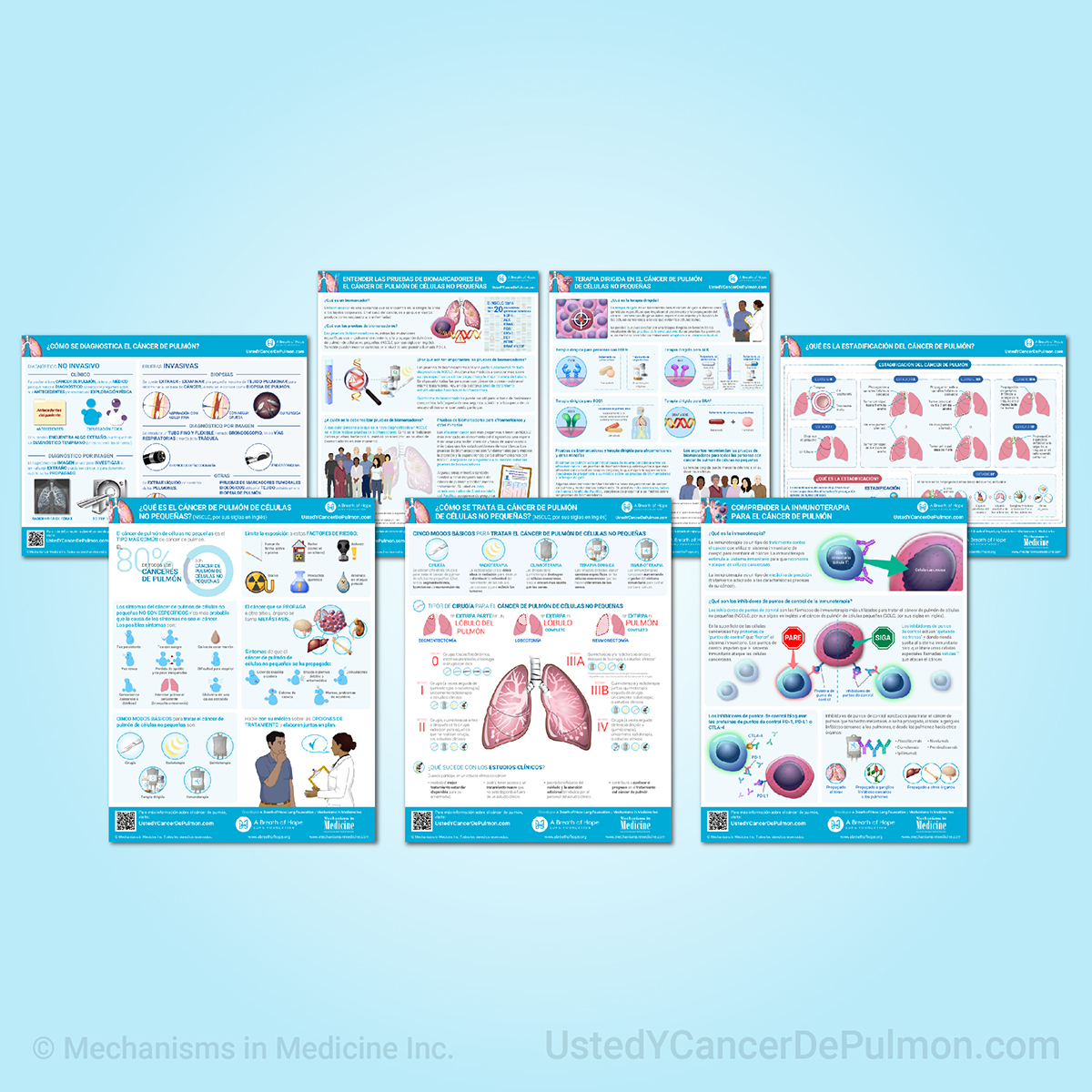 Herramientas visuales descargables para compartir y comunicar conceptos de aprendizaje clave